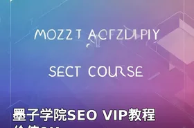 墨子学院SEO VIP教程 价值9K