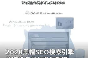2020黑帽SEO搜索引擎快速排名优化操作教程