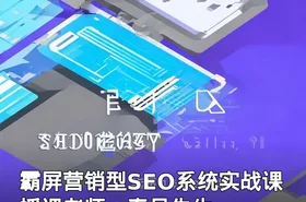 霸屏营销型SEO系统实战课 授课老师：秦月先生