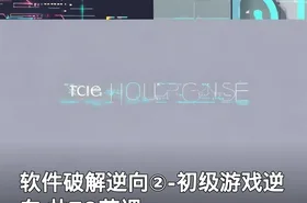 软件破解逆向②-初级游戏逆向 共79节课