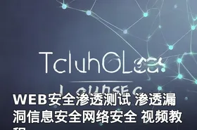 WEB安全渗透测试 渗透漏洞信息安全网络安全 视频教程