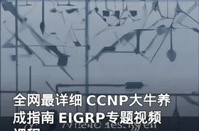 全网最详细 CCNP大牛养成指南 EIGRP专题视频课程