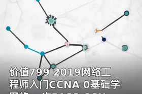 价值799 2019网络工程师入门CCNA 0基础学网络 一次PASS CCNA考试之路