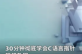 30分钟彻底学会C语言指针 视频教程
