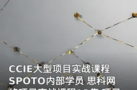 CCIE大型项目实战课程 SPOTO内部学员 思科网络项目实战课程13集 项目基础项目割接