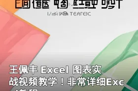 王佩丰 Excel 图表实战视频教学！非常详细Excel教程