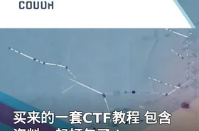 买来的一套CTF教程 包含资料一起打包了！