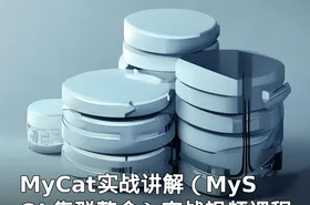 MyCat实战讲解（MySQL集群整合）实战视频课程