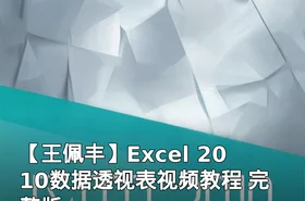 【王佩丰】Excel 2010数据透视表视频教程 完整版