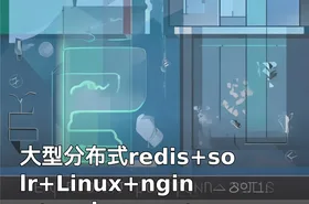 大型分布式redis+solr+Linux+nginx+springmvc+mybatis电商项目视频教程