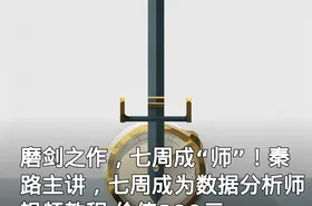 磨剑之作，七周成“师”！秦路主讲，七周成为数据分析师 视频教程
