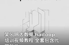某风网大数据 hadoop 培训视频教程 全套包含代码软件