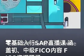 零基础入行SAP直播课 涵盖初、中级FICO内容 FICO资深顾问