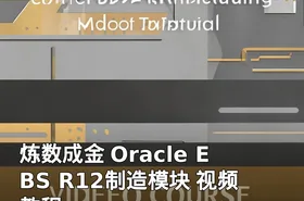 炼数成金 Oracle EBS R12制造模块 视频教程