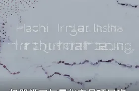 机器学习与量化交易项目班