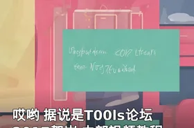 哎哟 据说是T00ls论坛2017贺岁 内部视频教程