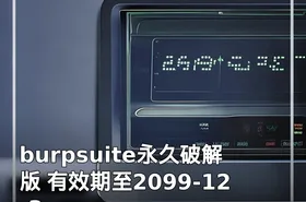 burpsuite永久破解版 有效期至2099-12-3