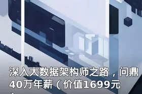 深入大数据架构师之路，问鼎40万年薪（）