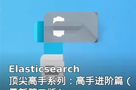 Elasticsearch顶尖高手系列：高手进阶篇（最新第二版）