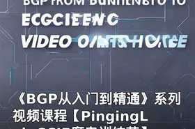《BGP从入门到精通》系列视频课程【PingingLab CCIE魔鬼训练营】
