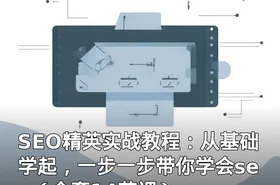 SEO精英实战教程：从基础学起，一步一步带你学会seo（全套14节课）