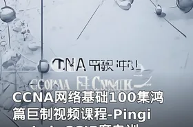 CCNA网络基础100集鸿篇巨制视频课程-PingingLab CCIE魔鬼训练营