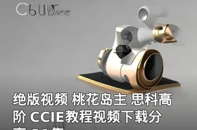 绝版视频 桃花岛主 思科高阶 CCIE教程视频下载分享 21集