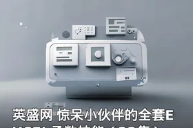 英盛网 惊呆小伙伴的全套EXCEL函数技能（22集）
