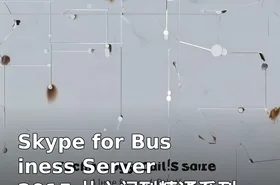 Skype for Business Server 2015 从入门到精通系列课程 Skype for Business 培训视频