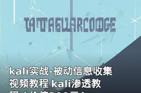 kali实战-被动信息收集 视频教程 kali渗透教程（）