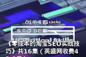 《零成本的淘宝SEO实战技巧》共16集（英盛网收费43.8元）