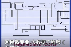 网易微专业 大数据工程师（升级版）