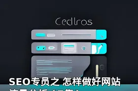 SEO专员之 怎样做好网站流量分析（7集）