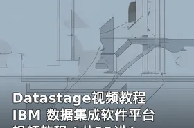 Datastage视频教程 IBM 数据集成软件平台视频教程（共33讲）