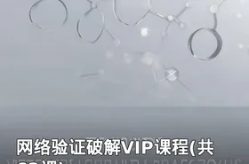 网络验证破解VIP课程(共62课)