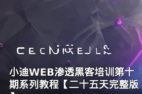 小迪WEB渗透黑客培训第十期系列教程【二十五天完整版】