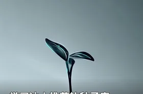 学习达人推荐的种子库