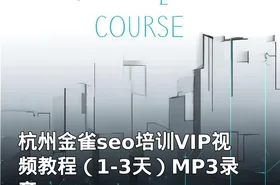 杭州金雀seo培训VIP视频教程（1-3天）MP3录音