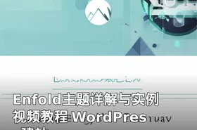 Enfold主题详解与实例视频教程 WordPress建站