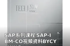 SAP系列课程 SAP-IBM-CO视频资料BYCYLKING