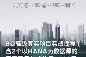 BO高级真实项目实战课程（含2个以HANA为数据源的真实项目）【】