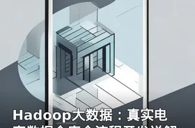 Hadoop大数据：真实电商数据仓库全流程开发详解