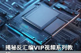 揭秘反汇编VIP视频系列教程