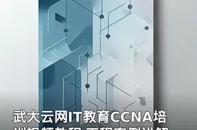 武大云网IT教育CCNA培训视频教程 工程案例讲解