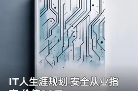 IT人生涯规划 安全从业指南
