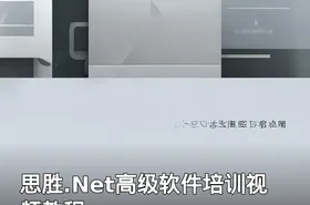 思胜.Net高级软件培训视频教程