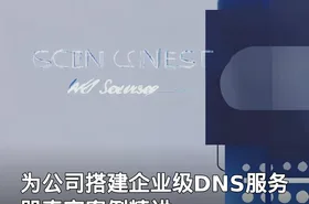 为公司搭建企业级DNS服务器真实案例精讲