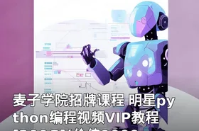 麦子学院招牌课程 明星python编程视频VIP教程[200G]()