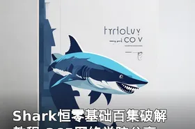 Shark恒零基础百集破解教程-365网络学院分享
