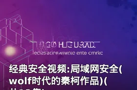 经典安全视频:局域网安全(wolf时代的秦柯作品)(共13集)